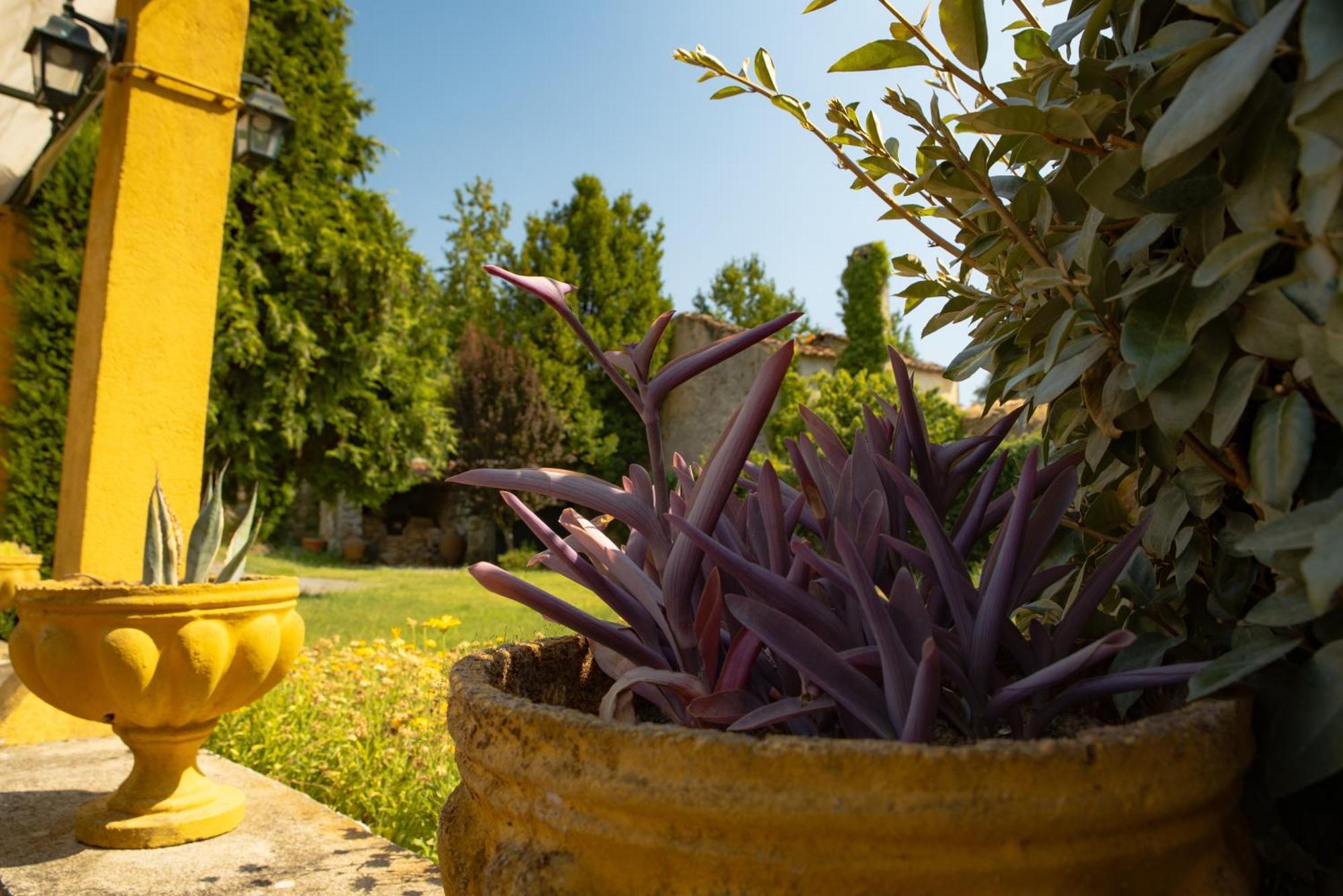 Villa A Sobreirinha Jacuzzi E Pet Friendly Sobreira Formosa Esterno foto